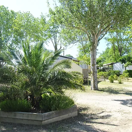 Campsite La Dune 3*